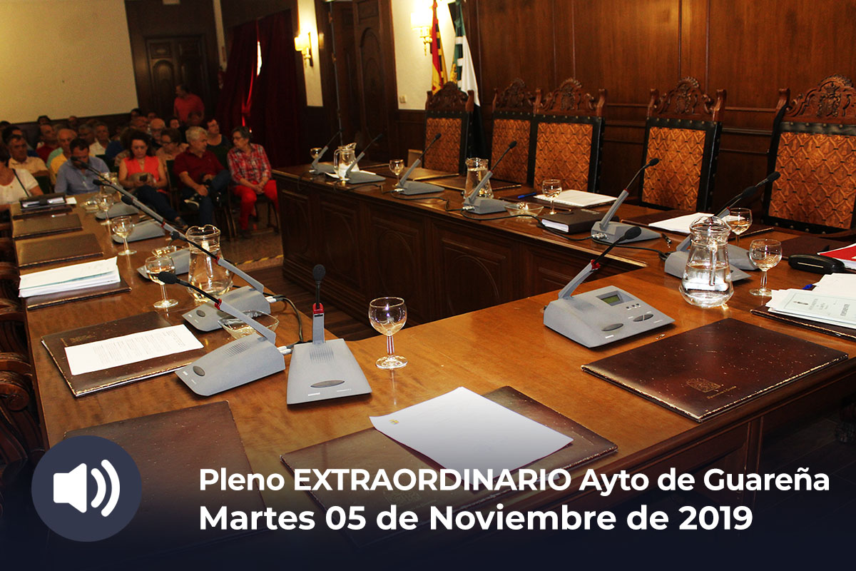 05.11.2019 - Pleno Extraordinario